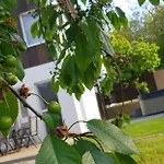 Kenese-völgye 3*
